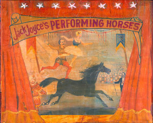 performing horse